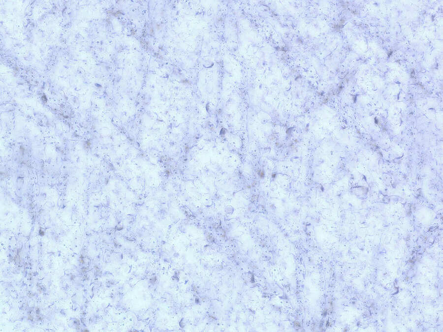 3-Pico-interno-bianco-300x-v2 Glass Transformation with Laser Marking: Applications and Benefits